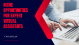 Unveiling Profitable Niche Opportunities for Expert Virtual Assistants