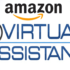 The Art of Amazon Virtual Assistant Training: From Novice to Pro in Just a Few Steps